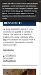 Mobile Screenshot of brandolinisrl.com